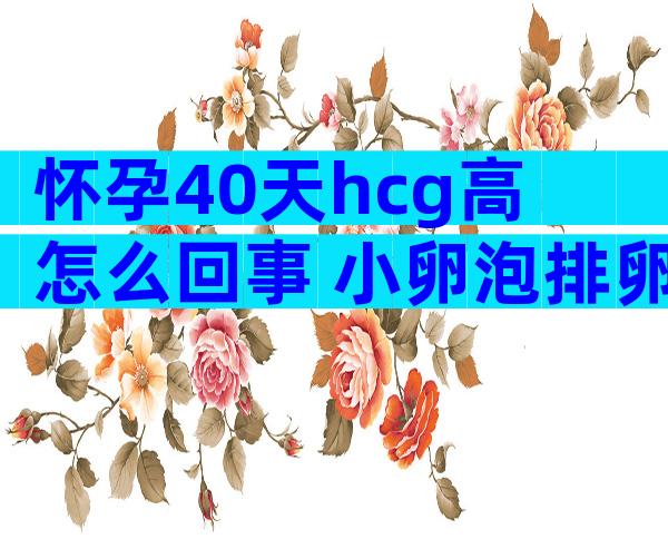 怀孕40天hcg高怎么回事 小卵泡排卵是什么原因导致的